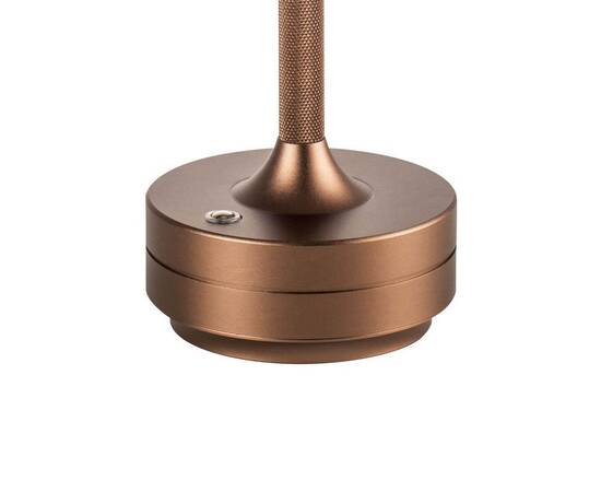 Настольная лампа Lightstar Alfa 745901, изображение 4