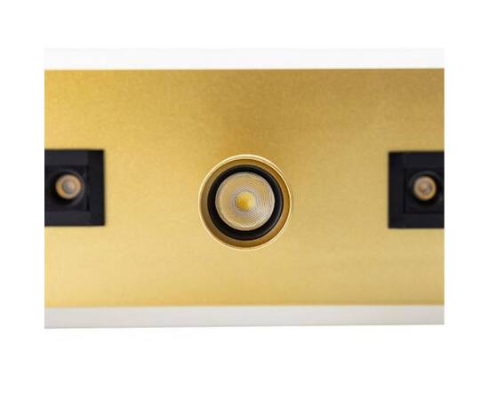 Светодиодный спот Arte Lamp Pisces A2220PL-3GO, изображение 3