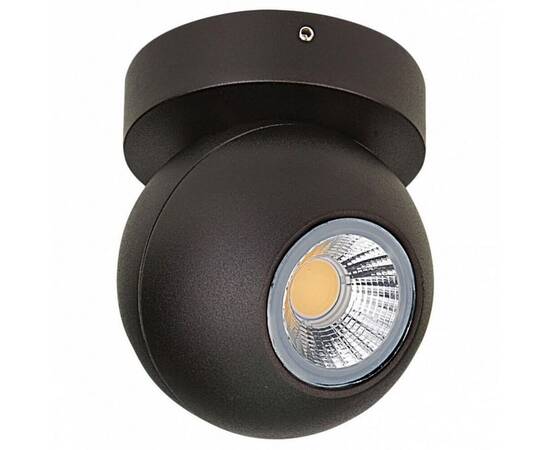 Спот Lightstar Globo 051007