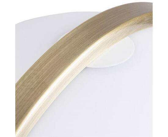 Настольная лампа Arte Lamp Brava A5056LT-1AB, изображение 2
