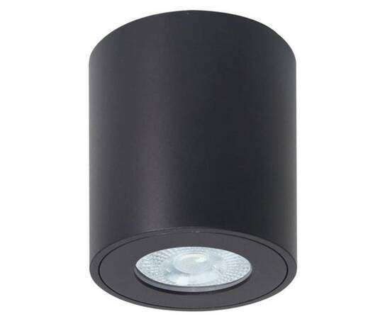 Потолочный светильник Arte Lamp Tino A1469PL-1BK