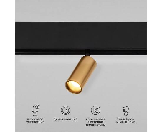 Трековый светодиодный светильник Elektrostandard Slim Magnetic Dim Cantors 85071/01 латунь a063531