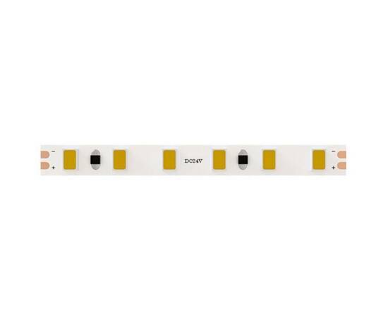 Светодиодная лента Arte Lamp 9,6W/m холодный белый 5М A2412005-03-6K