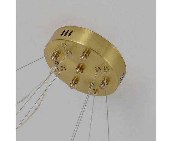 Подвесной светодиодный светильник Favourite Placerat 4012-12P, изображение 3