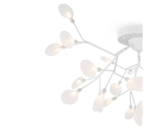 Потолочная люстра Freya Florencia FR5049CL-27W2, изображение 5