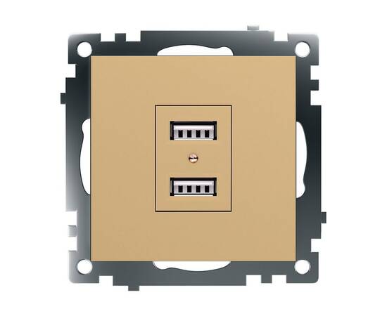 Розетка 2хUSB Stekker Катрин золото GLS10-7115-08 49229