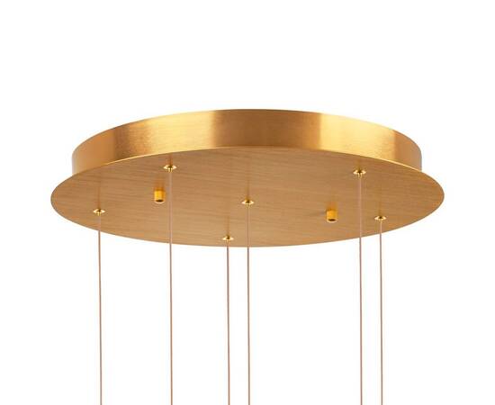 Подвесная светодиодная люстра Lightstar Colore 805169, изображение 2