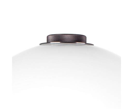 Настольная светодиодная лампа Lightstar Colore 805916, изображение 4