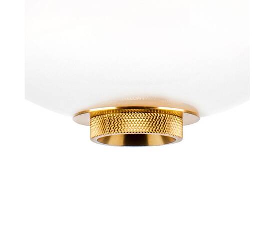 Подвесной светодиодный светильник Lightstar Colore 805403, изображение 5