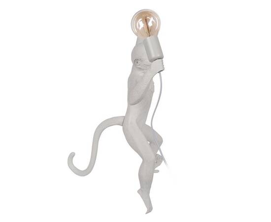 Настенный светильник Loft IT Monkey 10314W/A, изображение 3