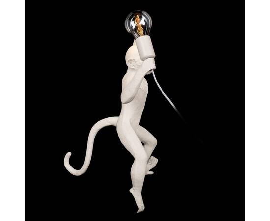 Настенный светильник Loft IT Monkey 10314W/A, изображение 5