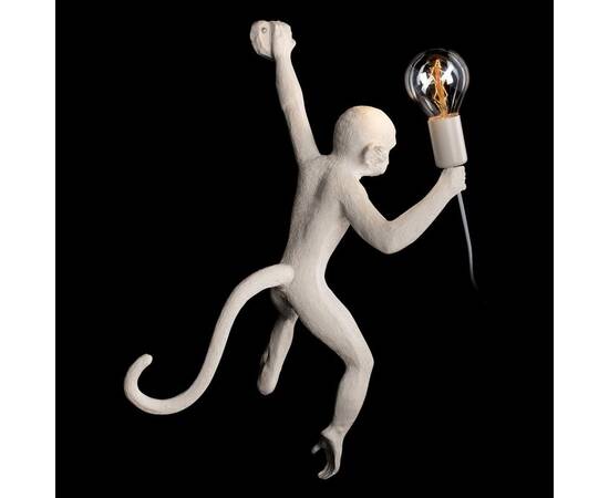 Настенный светильник Loft IT Monkey 10314W/A, изображение 6