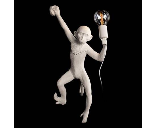 Настенный светильник Loft IT Monkey 10314W/B, изображение 2