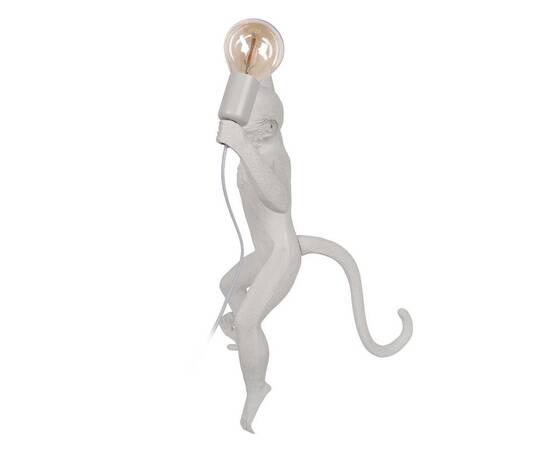 Настенный светильник Loft IT Monkey 10314W/B, изображение 3