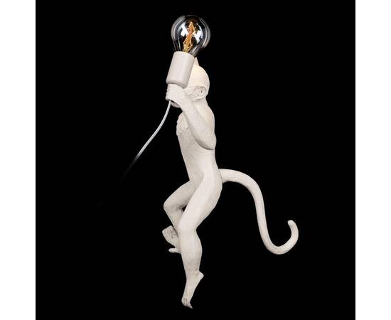 Настенный светильник Loft IT Monkey 10314W/B, изображение 4