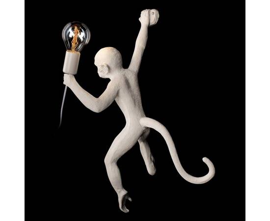 Настенный светильник Loft IT Monkey 10314W/B, изображение 5