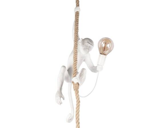 Подвесной светильник Loft IT Monkey 10314P