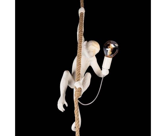 Подвесной светильник Loft IT Monkey 10314P, изображение 2