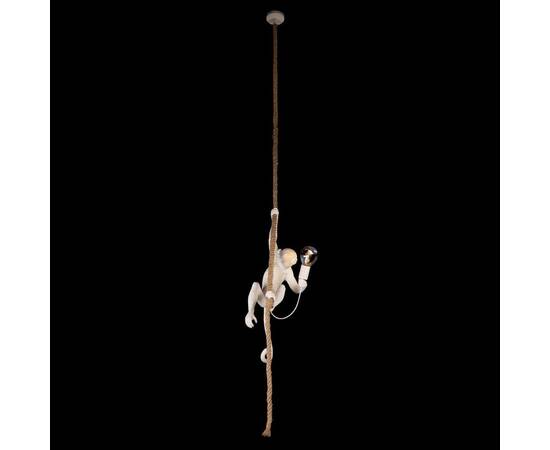 Подвесной светильник Loft IT Monkey 10314P, изображение 4