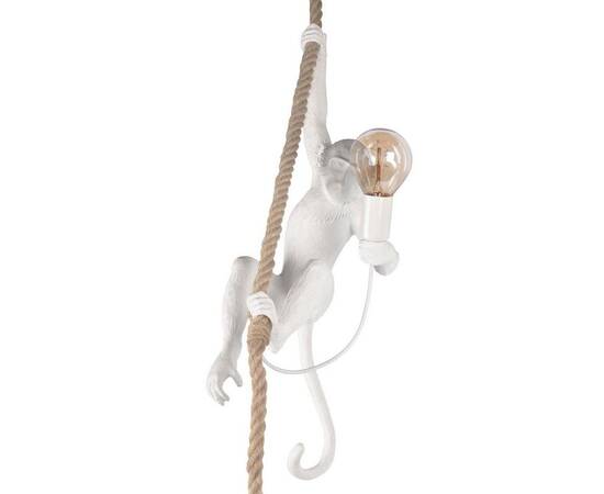 Подвесной светильник Loft IT Monkey 10314P, изображение 5