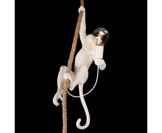 Подвесной светильник Loft IT Monkey 10314P, изображение 6