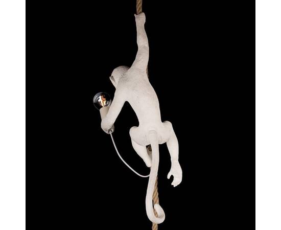 Подвесной светильник Loft IT Monkey 10314P, изображение 8