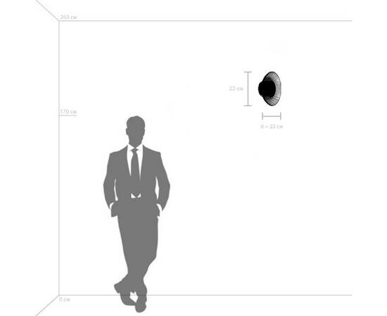 Бра Lightstar Celesta 809012, изображение 5