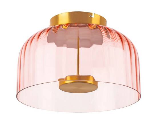 Потолочный светодиодный светильник Lightstar Celesta 809062