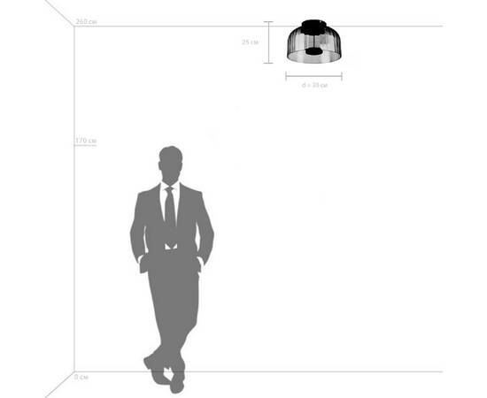 Потолочный светодиодный светильник Lightstar Celesta 809062, изображение 5