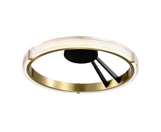 Потолочный светодиодный светильник Lightstar Rotonda 736041