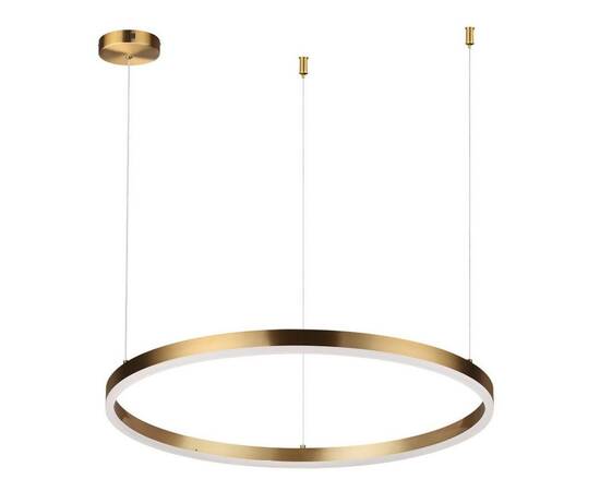 Подвесной светодиодный светильник Lumion Ledio Echo 6531/50L