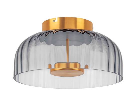 Потолочный светодиодный светильник Lightstar Celesta 809061