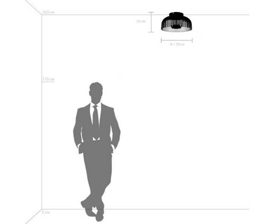 Потолочный светодиодный светильник Lightstar Celesta 809061, изображение 5