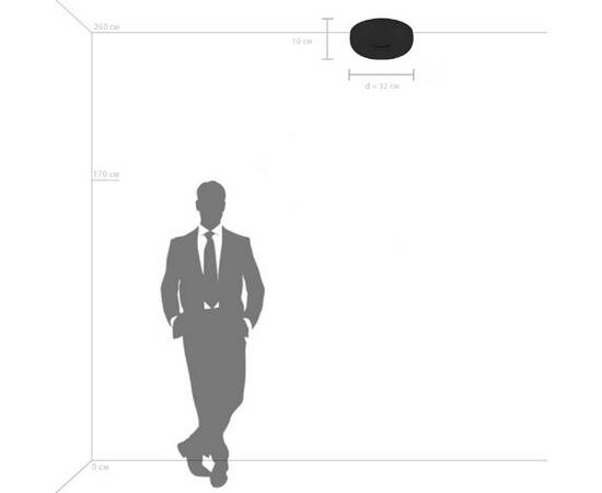 Потолочный светодиодный светильник Lightstar Celesta 809316, изображение 3