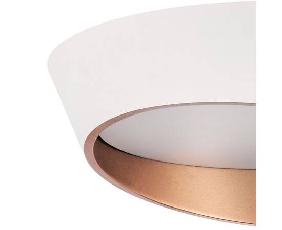 Потолочный светодиодный светильник Lightstar Celesta 809456, изображение 2