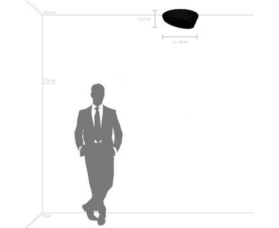 Потолочный светодиодный светильник Lightstar Celesta 809456, изображение 3