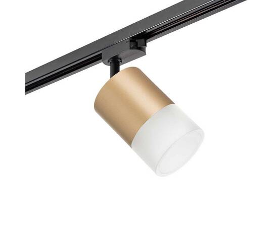 Трековый светильник Lightstar Rullo (213490+592087+202481) R1T349081