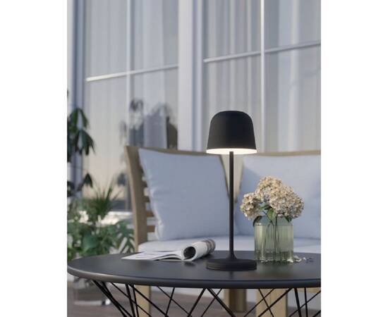 Настольная светодиодная лампа Eglo Mannera 900457, изображение 3