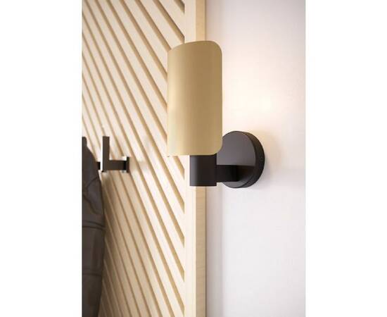 Настенный светильник Eglo Hayes 900375, изображение 4