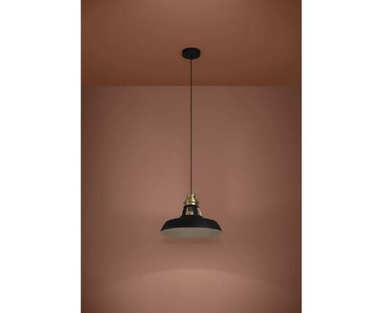 Подвесной светильник Eglo Espinardo 390229, изображение 2