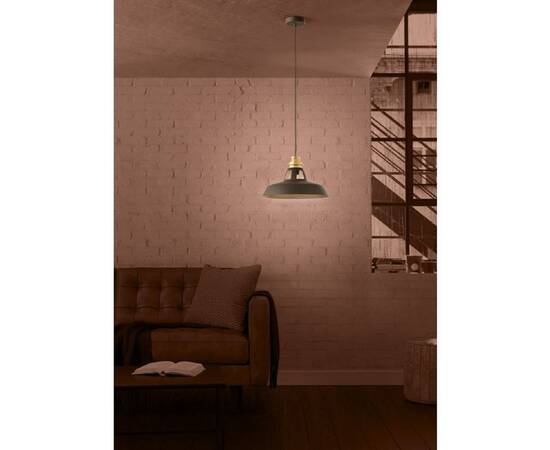 Подвесной светильник Eglo Espinardo 390229, изображение 3