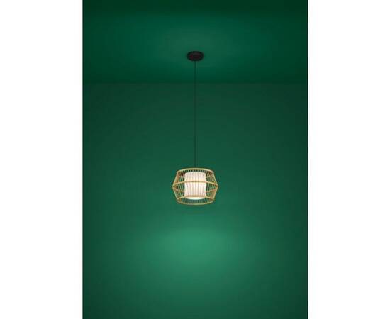 Подвесной светильник Eglo Monterroso 390233, изображение 2