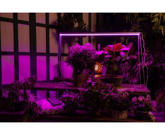 Настенный светодиодный светильник для растений Uniel ULI-P21-24W/SPSB IP40 White UL-00008921, изображение 16