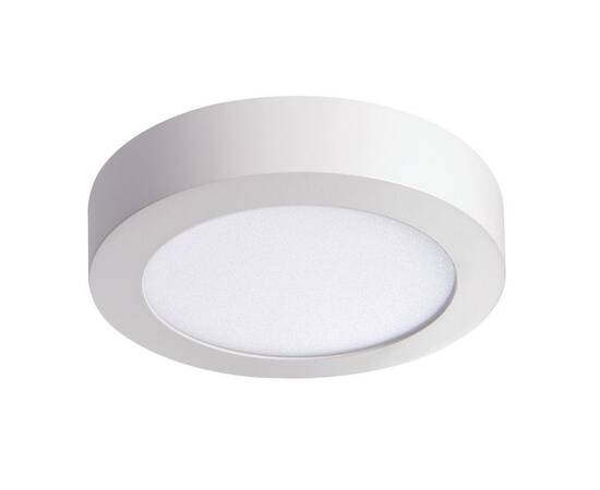 Потолочный светодиодный светильник Kanlux CARSA V2LED 12W-NW-W 28948