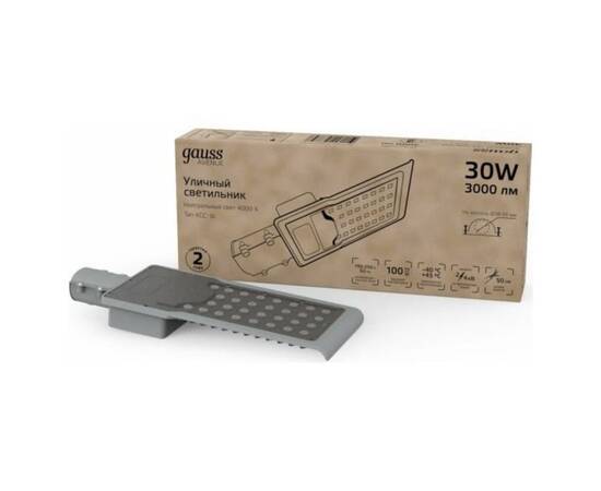 Уличный светодиодный светильник Gauss 629534230