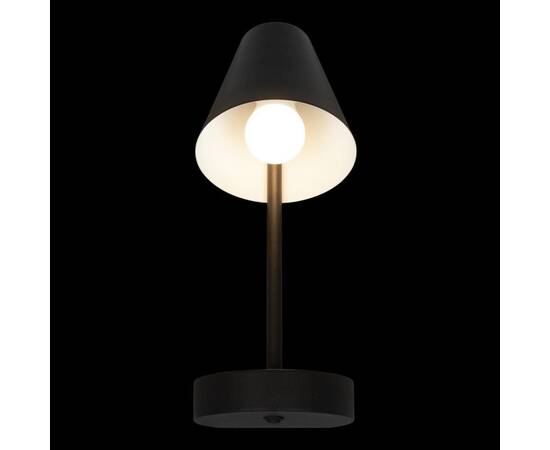 Бра Loft IT Shelf 10216/1W Black, изображение 2