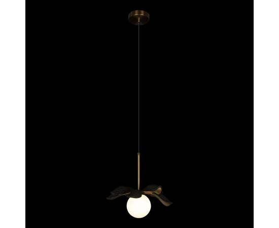 Подвесной светильник Loft IT Monro 10213/A Black, изображение 2