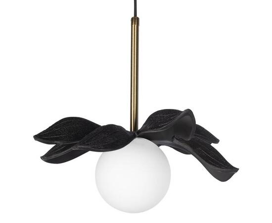 Подвесной светильник Loft IT Monro 10213/A Black, изображение 3