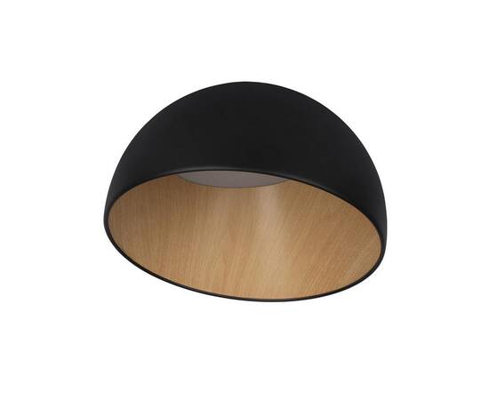 Потолочный светодиодный светильник Loft IT Egg 10197/350 Black