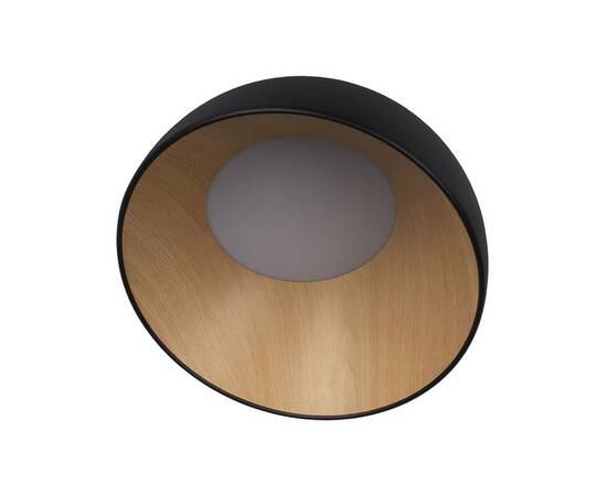 Потолочный светодиодный светильник Loft IT Egg 10197/350 Black, изображение 2